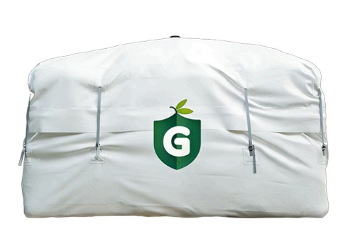 Cocoon